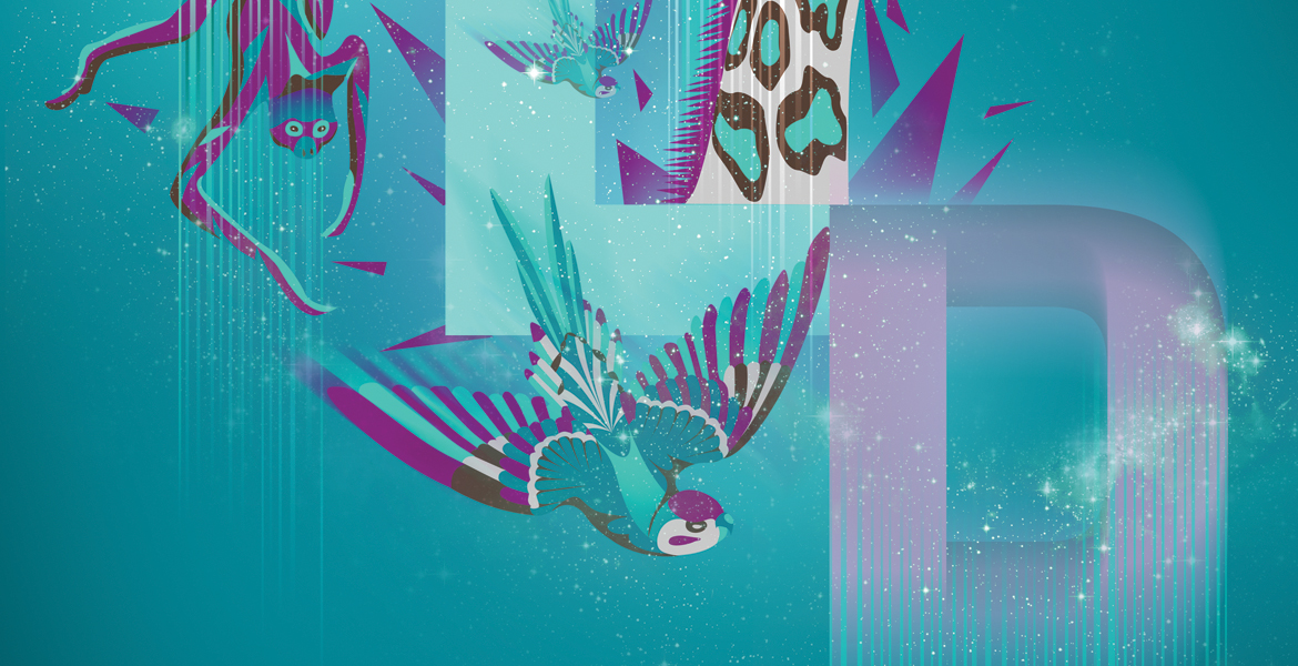 slider image 2