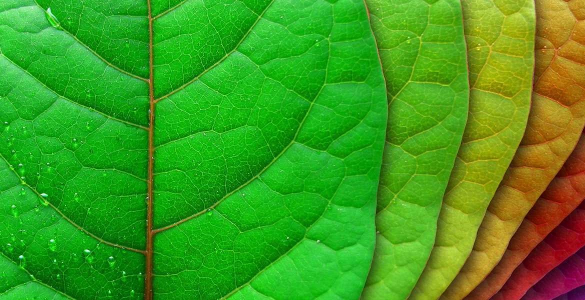 slider image 3